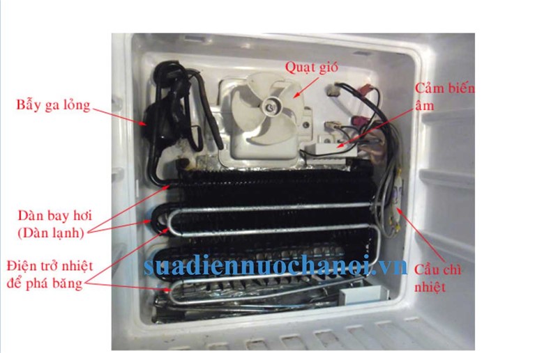 hình ảnh sò lạnh , cảm biến âm