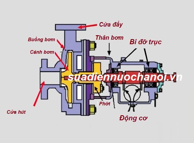 cau tao may bom nuoc ly tam cau tao may bom nuoc ly tam