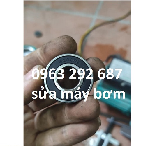 máy bơm cháy động cơ do kẹt bi